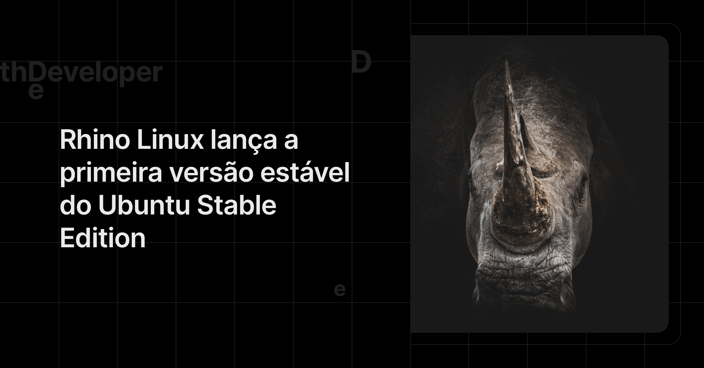 Rhino Linux lança a primeira versão estável do Ubuntu Stable Edition