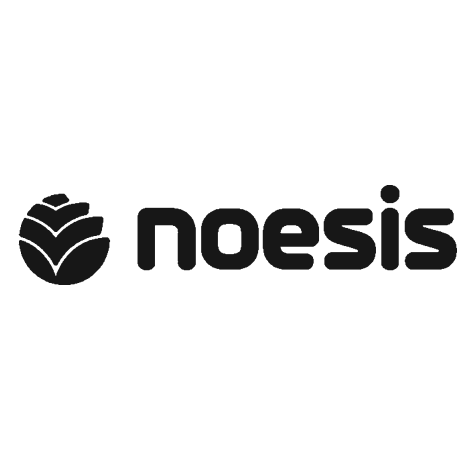 Empresa Noesis no portal theDeveloper Portugal